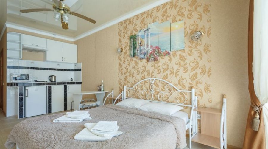 Студия 2-мест. 1-комнатная