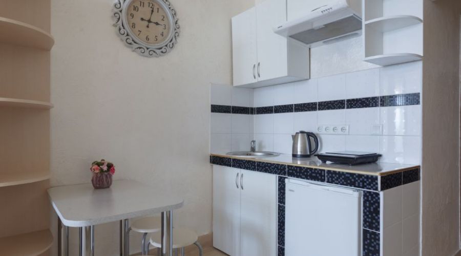 Студия Плюс 2-местная 1-комнатная