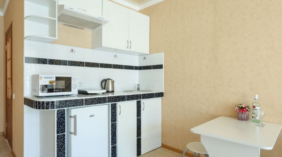 Студия 2-мест. 1-комнатная