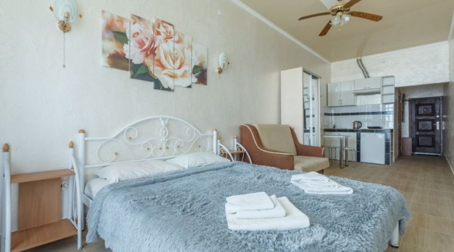 Студия Плюс 2-местная 1-комнатная