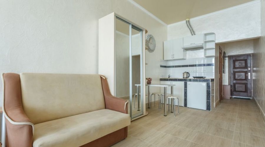 Студия Плюс 2-местная 1-комнатная