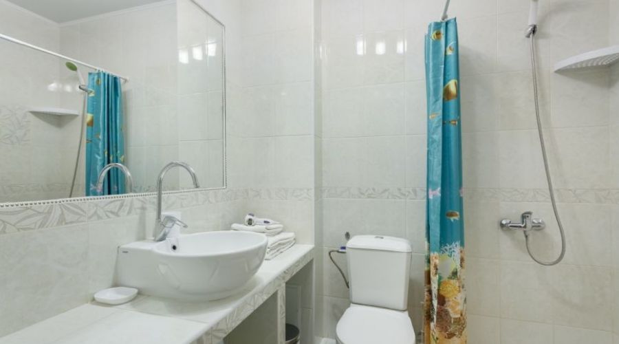 Студия 2-мест. 1-комнатная