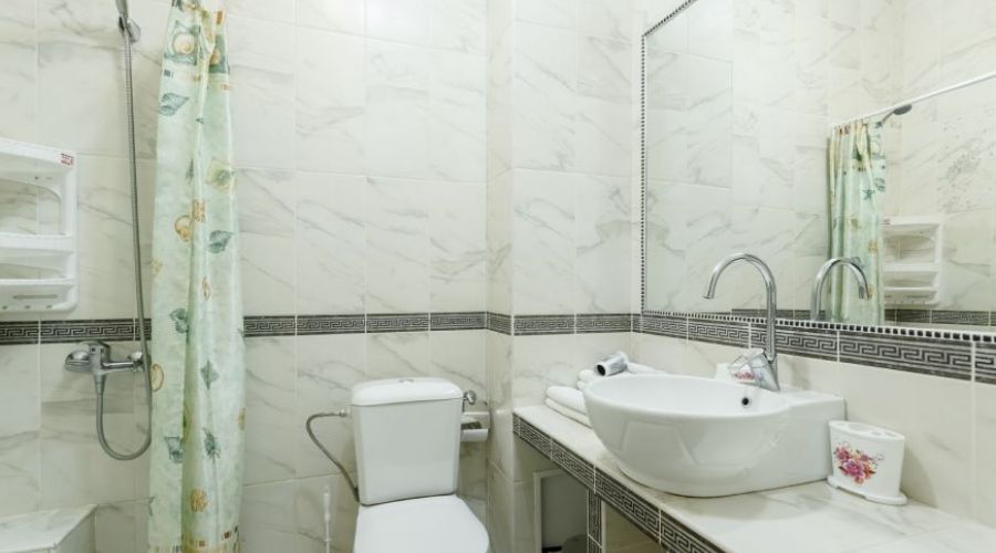 Студия Плюс 2-местная 1-комнатная