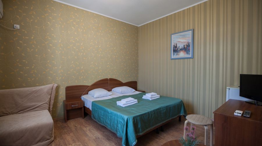 Стандарт Стандарт 2-местный 1-комнатный