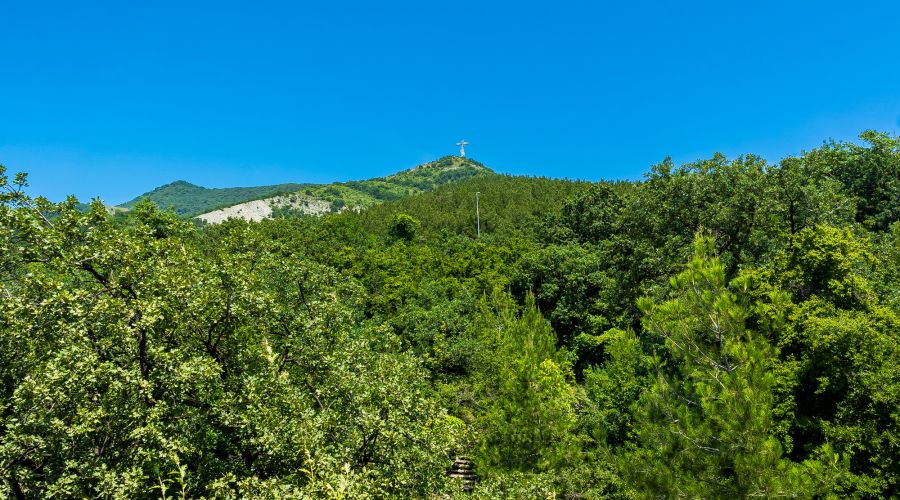 Апартаменты Адмирала Холостякова, д. 20 / 26 от LetoApart