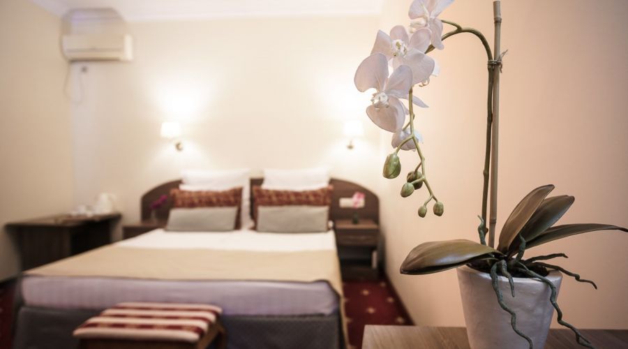 Комфорт Плюс 2-местный