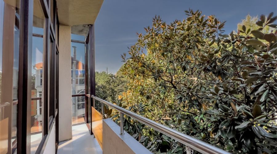 Студия 5-местная