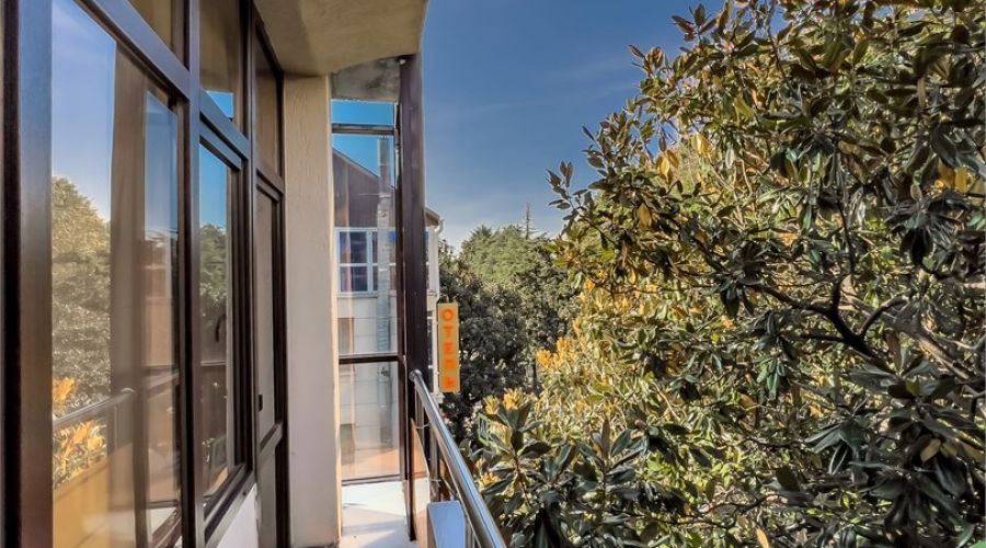 Студия 5-местная