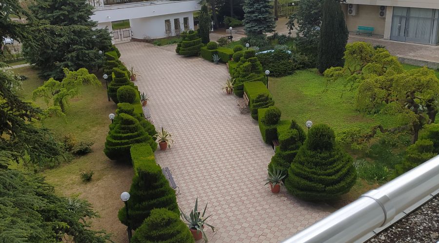 Джуниор сюит 2-местный 2-комнатный с балконом и душ.кабиной №403 ЮГ корпус 2