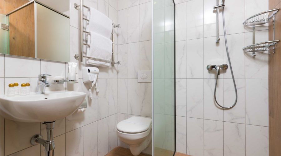 Полулюкс 2-местный