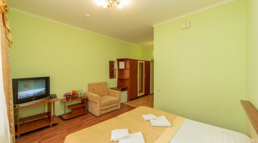 Стандартный 2-местный 1-комнатный