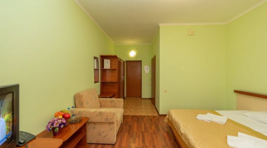 Стандартный 2-местный 1-комнатный