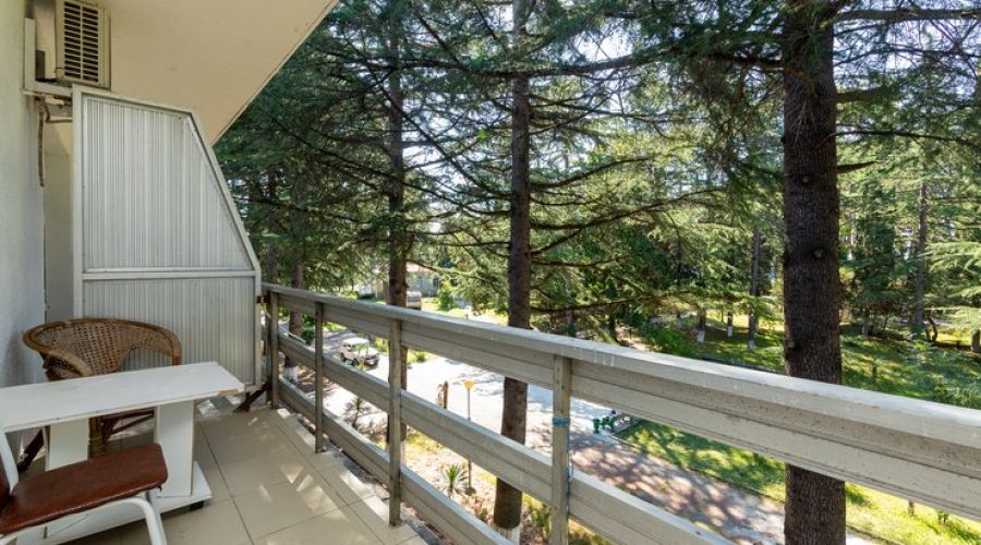 Стандартный 3-местный 1-комнатный (с балконом и кондиционером)